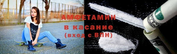гидропоника Дмитриев