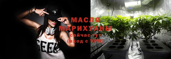 хмурый Гусь-Хрустальный
