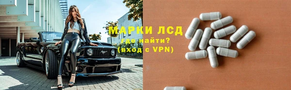 гидропоника Дмитриев