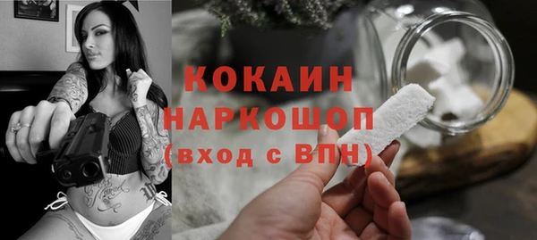гидропоника Дмитриев