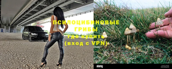гидропоника Дмитриев